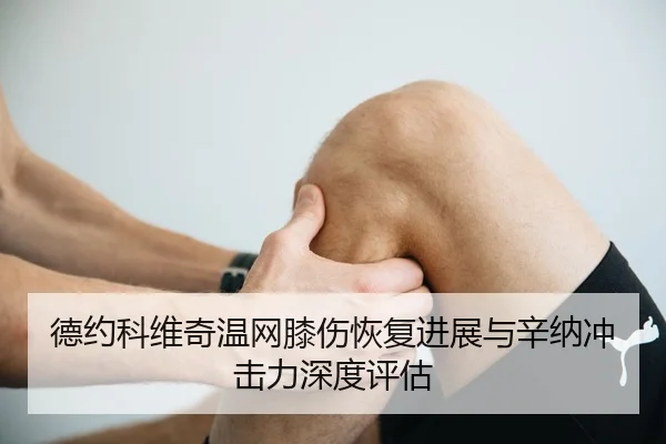 de-yue-ke-wei-qi-wen-wang-xi-shang-hui-fu-jin-zhan-yu-xin-na-chong-ji-li-shen-du-ping-gu-3-231.jpg
