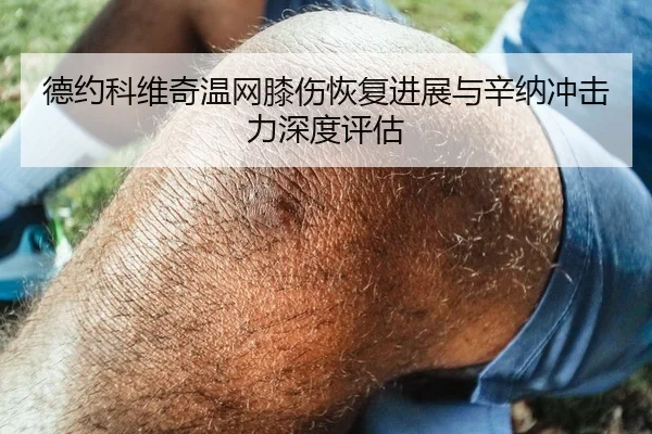 德约科维奇温网膝伤恢复进展与辛纳冲击力深度评估
