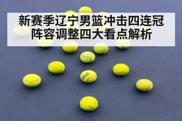 新赛季辽宁男篮冲击四连冠阵容调整四大看点解析
